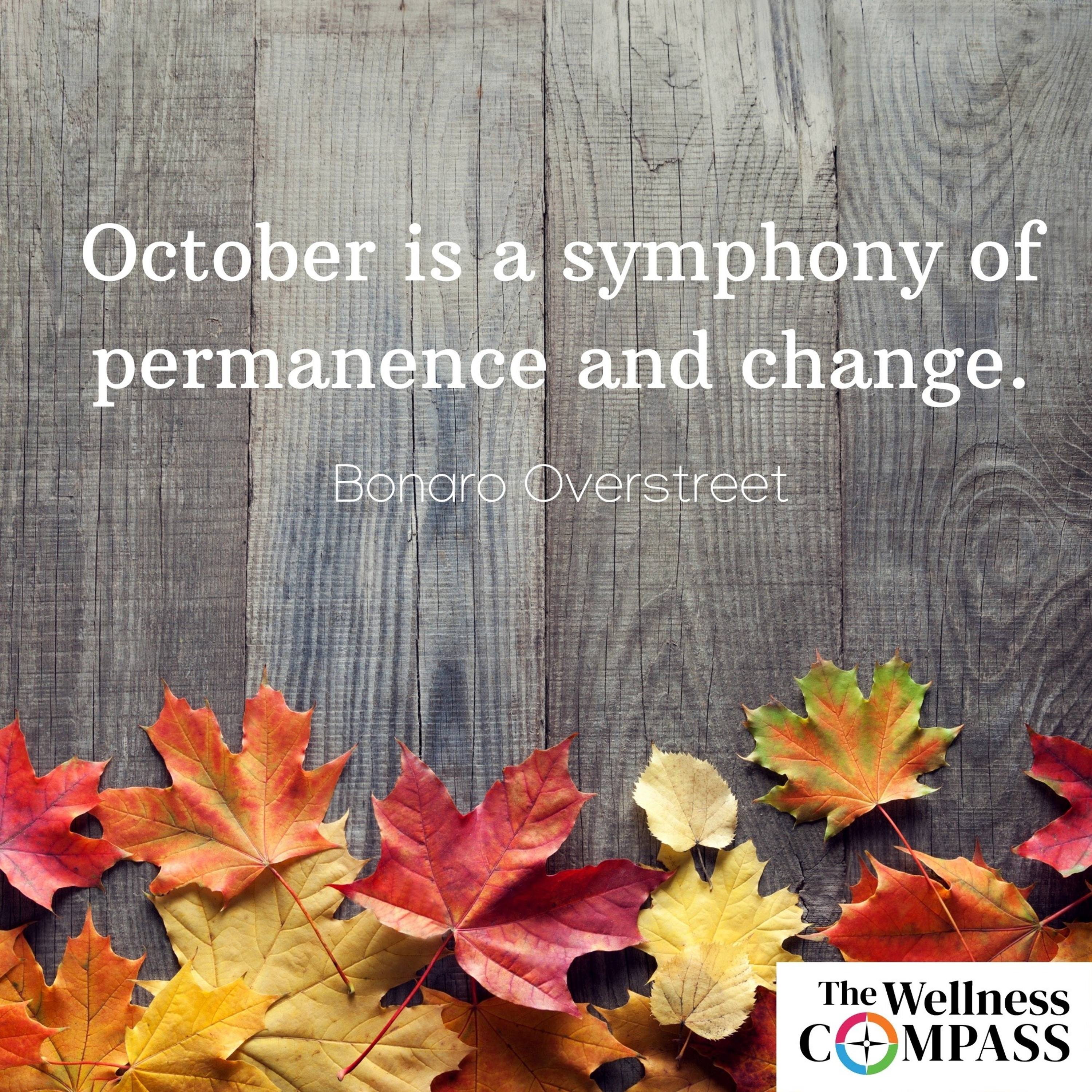 The Wellness Compass Podcast
