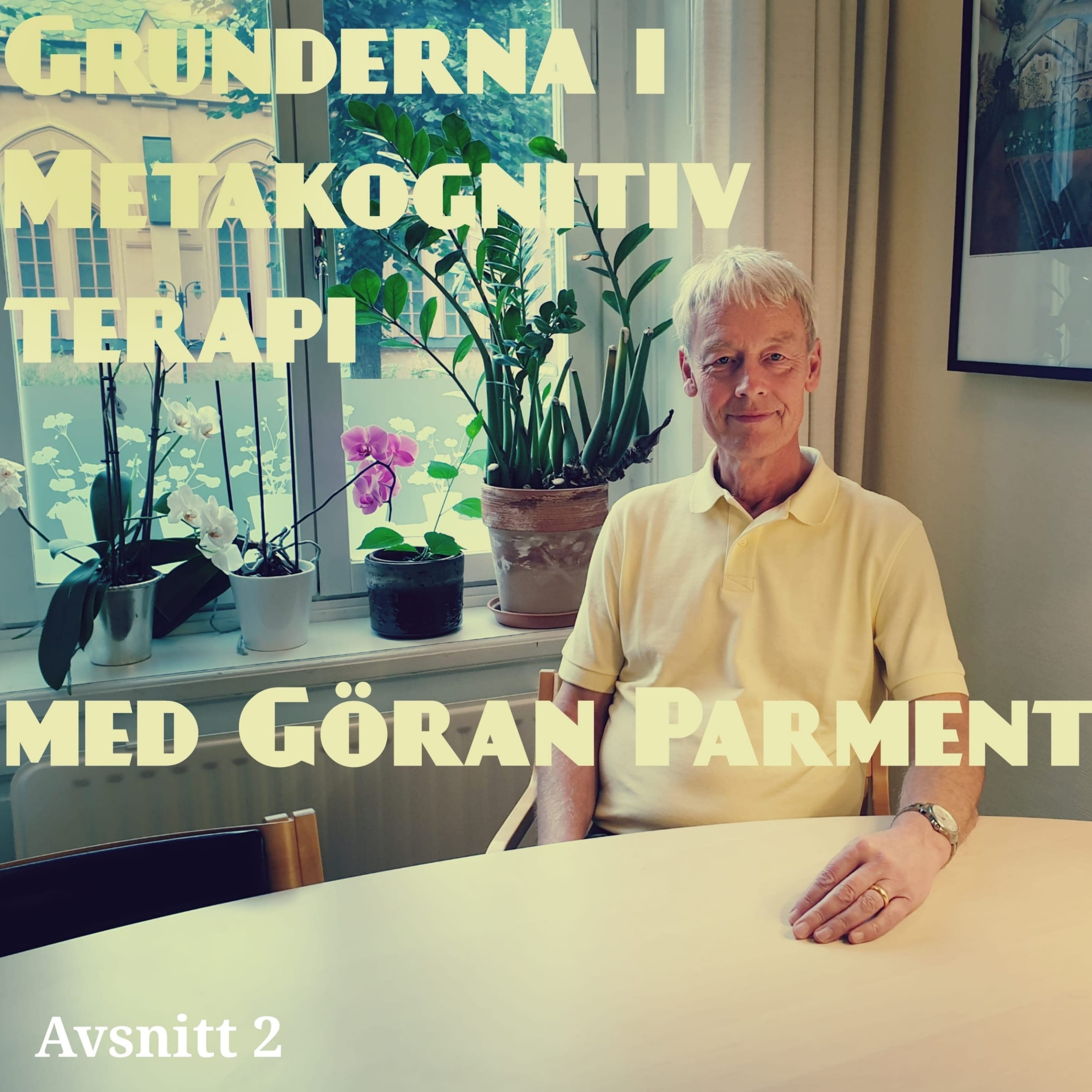 Metakognitiva podden