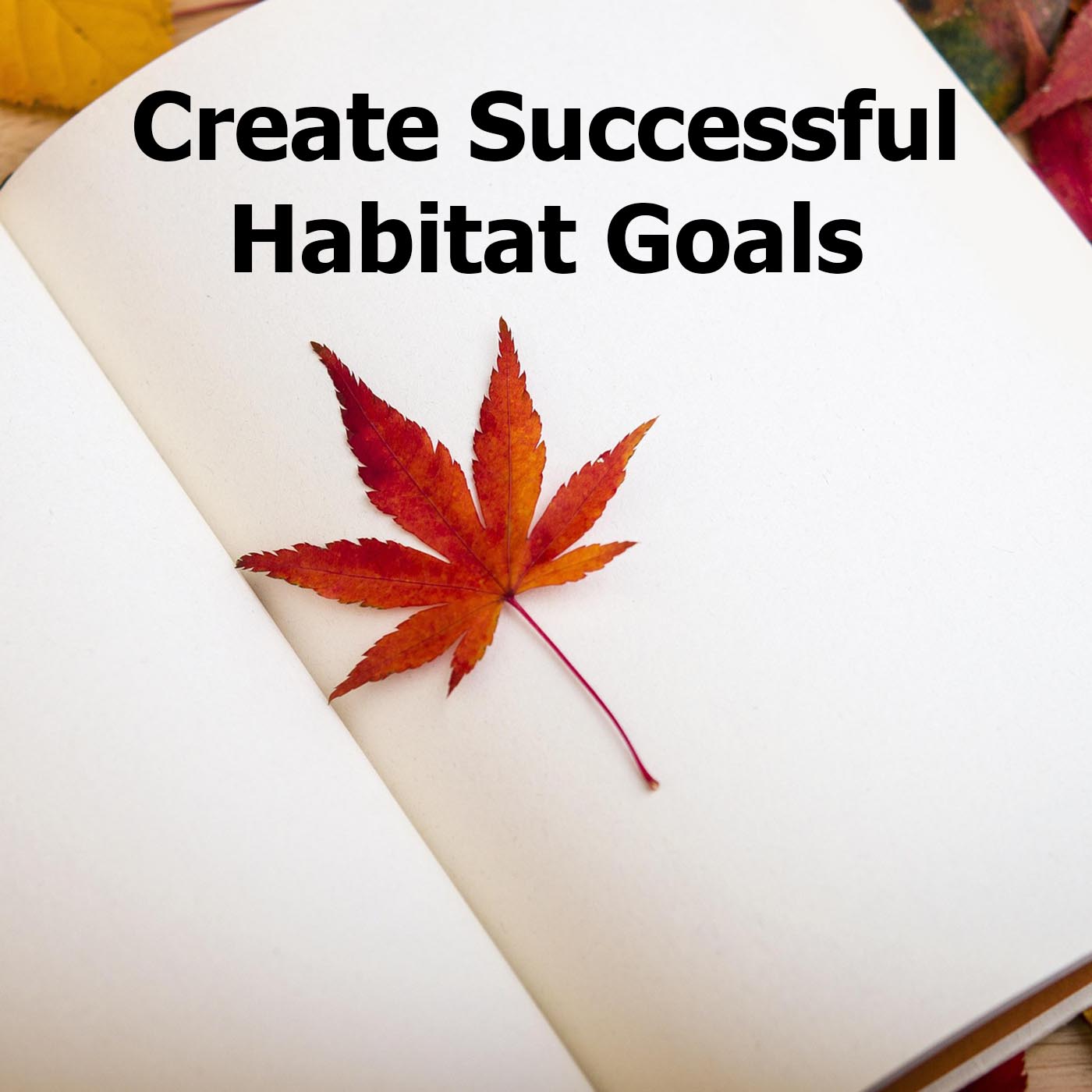 How to Be Successful with Your Habitat Goals
