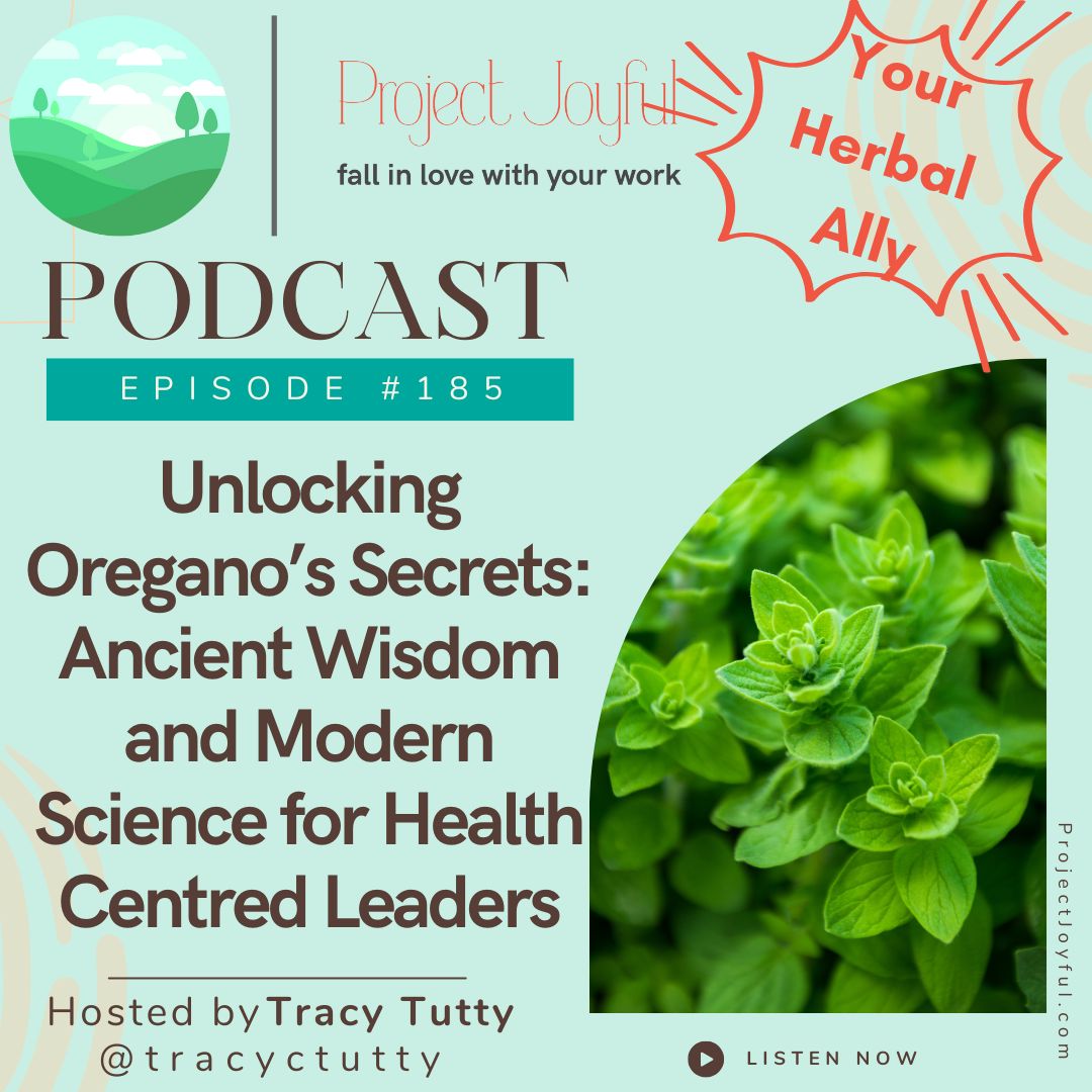 Unlocking Oregano’s Secrets: Ancient Wisdom and Modern Science for Health Centred Leaders