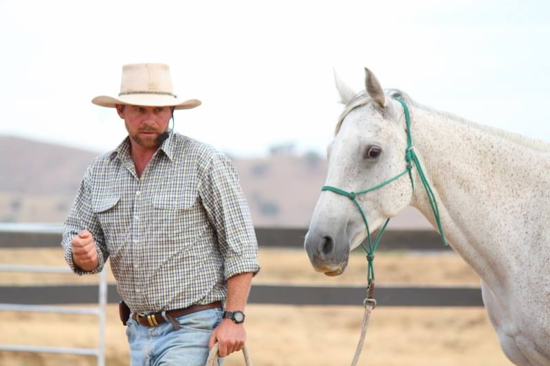 0866 : Mark Langley LC - Considering How The Horse Feels For Calm and Connected Horsemanship (Listeners' Choice)