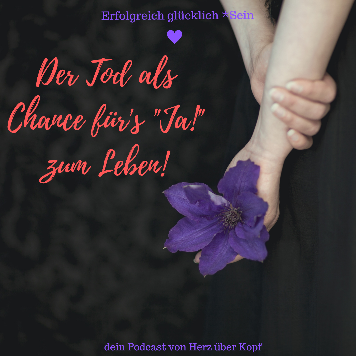 Erfolgreich glücklich SEIN