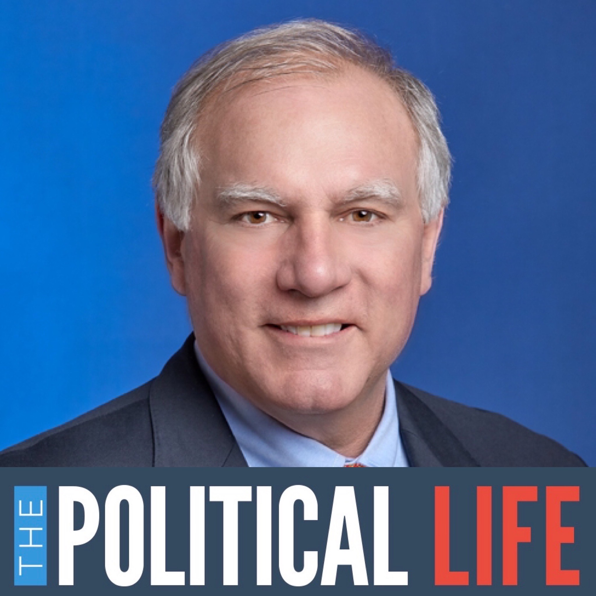 The Political Life