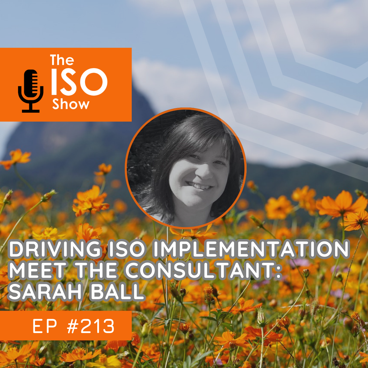 The ISO Show