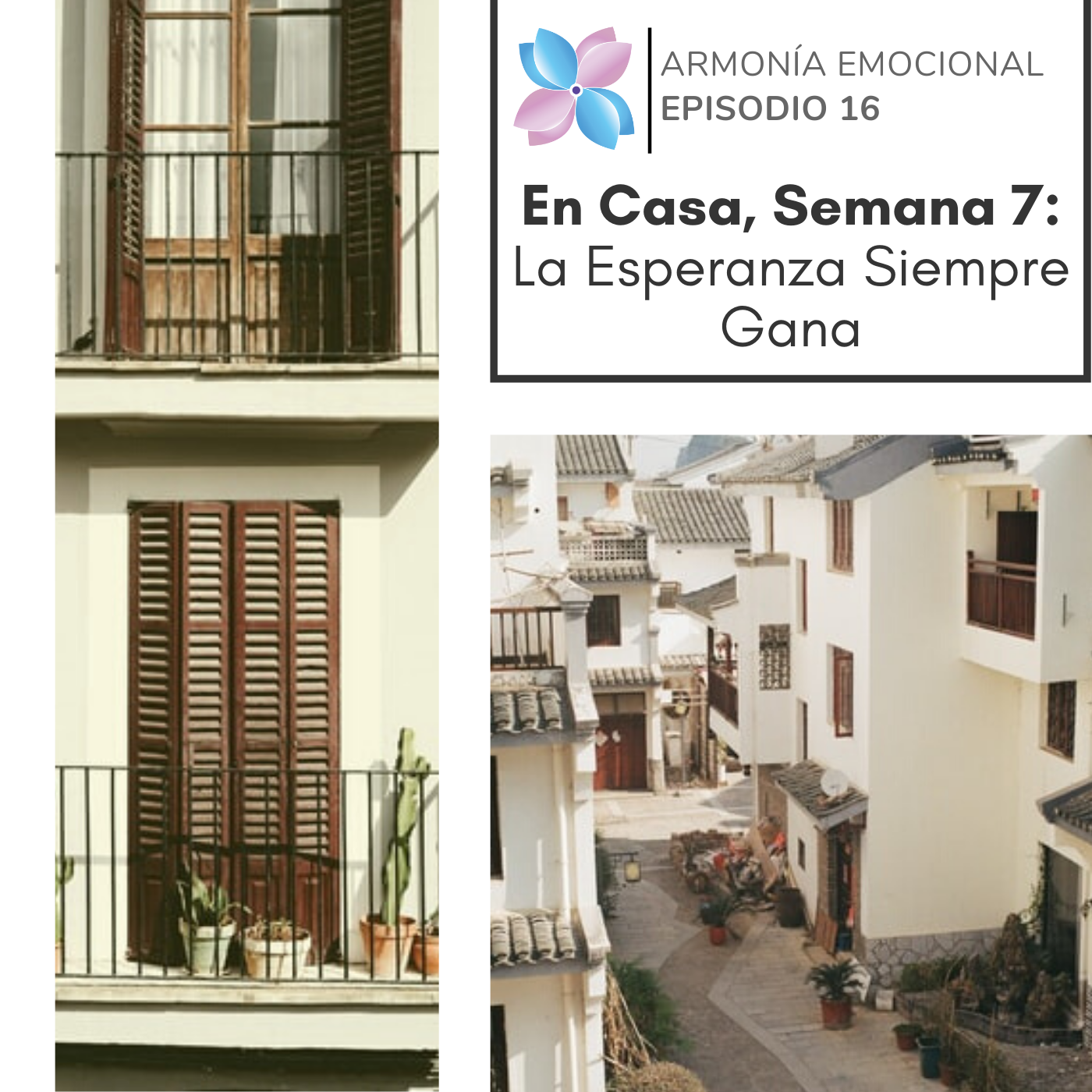 Armonia Emocional