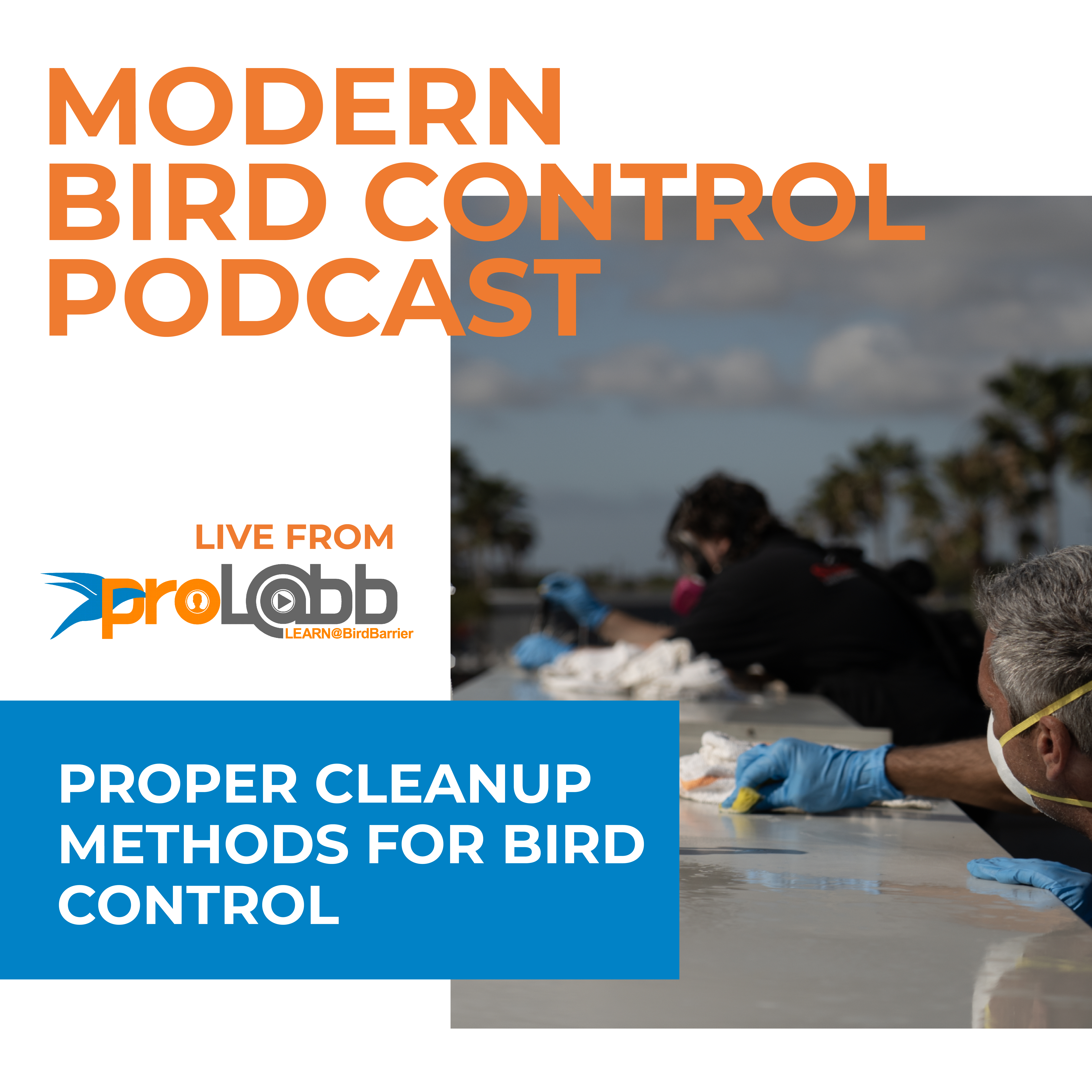 Episode: Proper Cleanup Methods for Bird Control