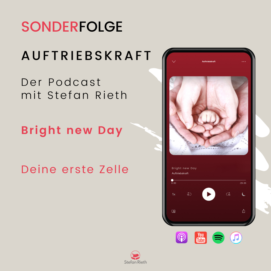 Stefan Rieth Podcast  - Einblicke in Neurozentrierte neuroaffektive Berührung