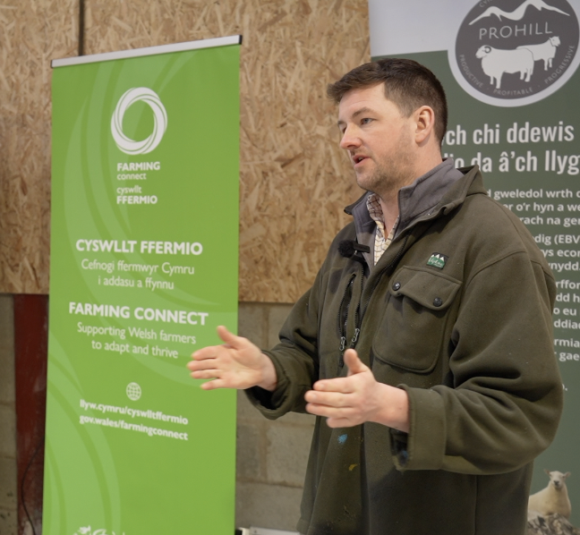 #114 - Focus on genetics, animal health and EID in the Welsh flock New era at Rhug Estate