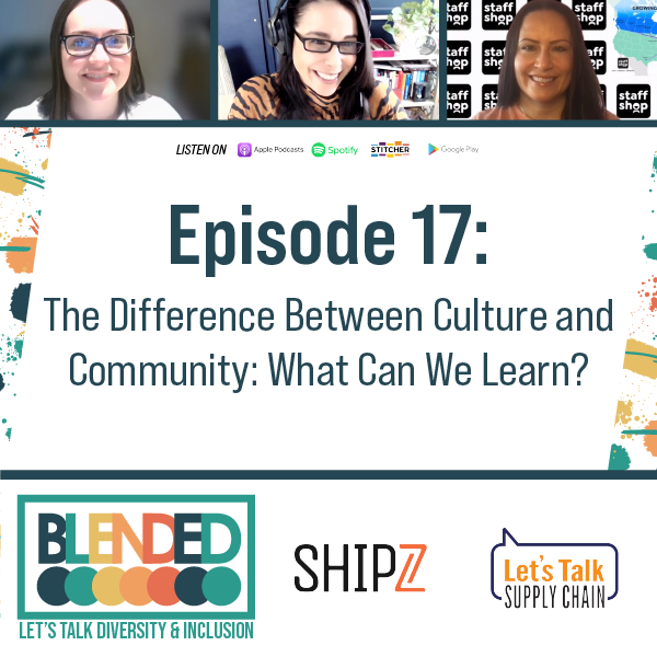 17 - The Difference Between Culture and Community: What Can We Learn?