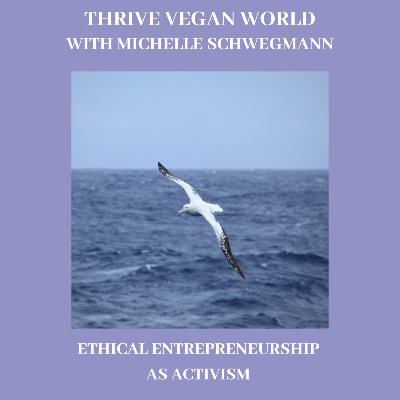 With Michelle Schwegmann - ETHICAL ENTREPRENEURSHIP AS ACTIVISM - Episode 36