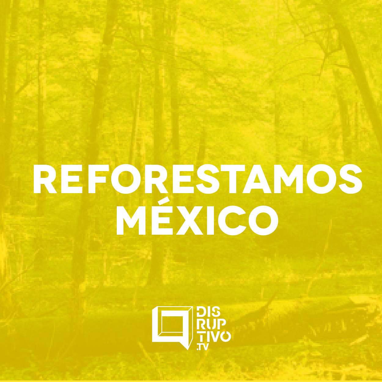 Disruptivo con Juan del Cerro