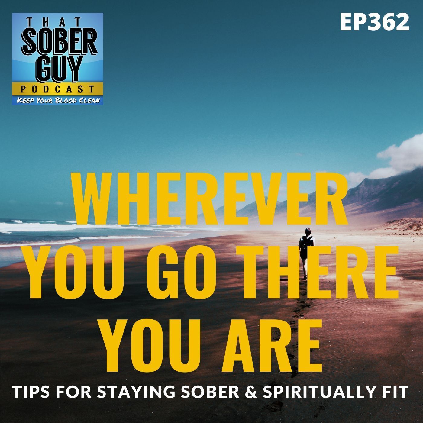 That Sober Guy Podcast