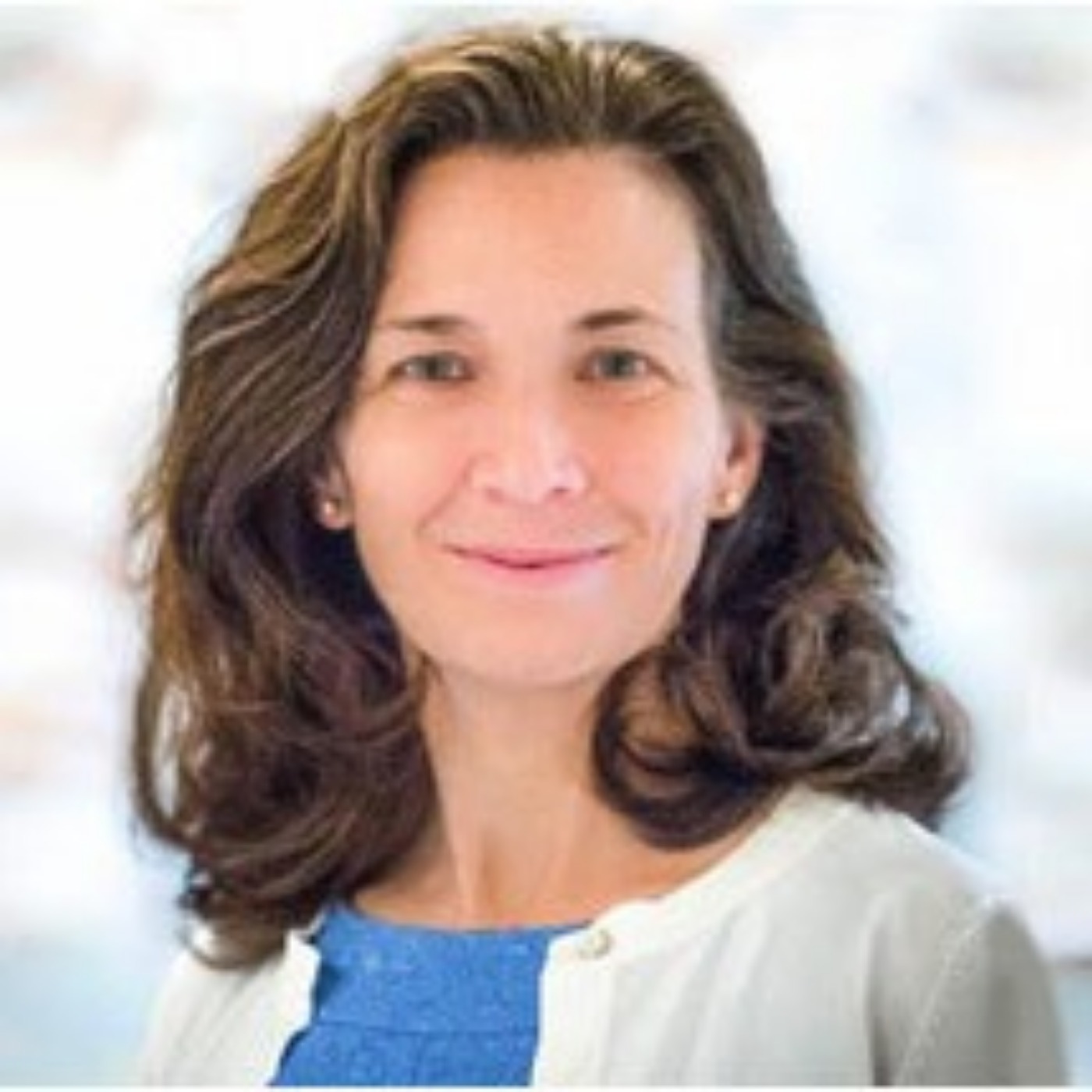 AI Ingenuity – Dr. Lisa Amini, Director, MIT-IBM Watson AI Lab – The Future of Machine Learning and Natural Language Processing in AI-based Products and Structures