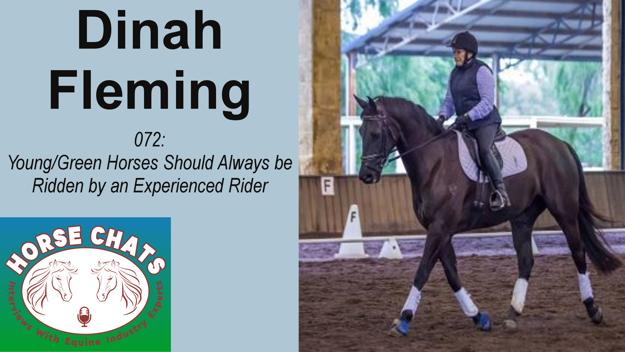 0072: Dinah Fleming - Young/Green Horses Should Always be Ridden by an Experienced Rider