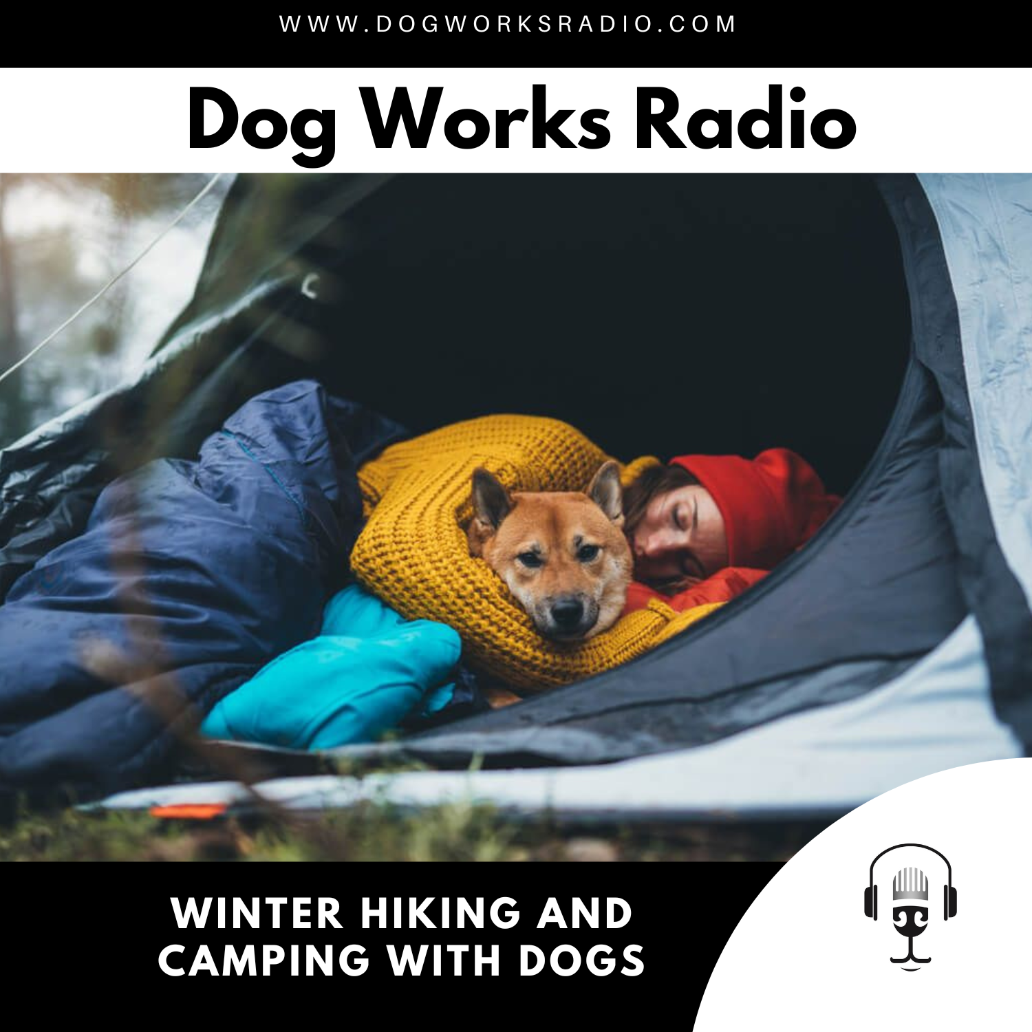 8 Must-Knows for Winter Camping & Hiking with Your Dog