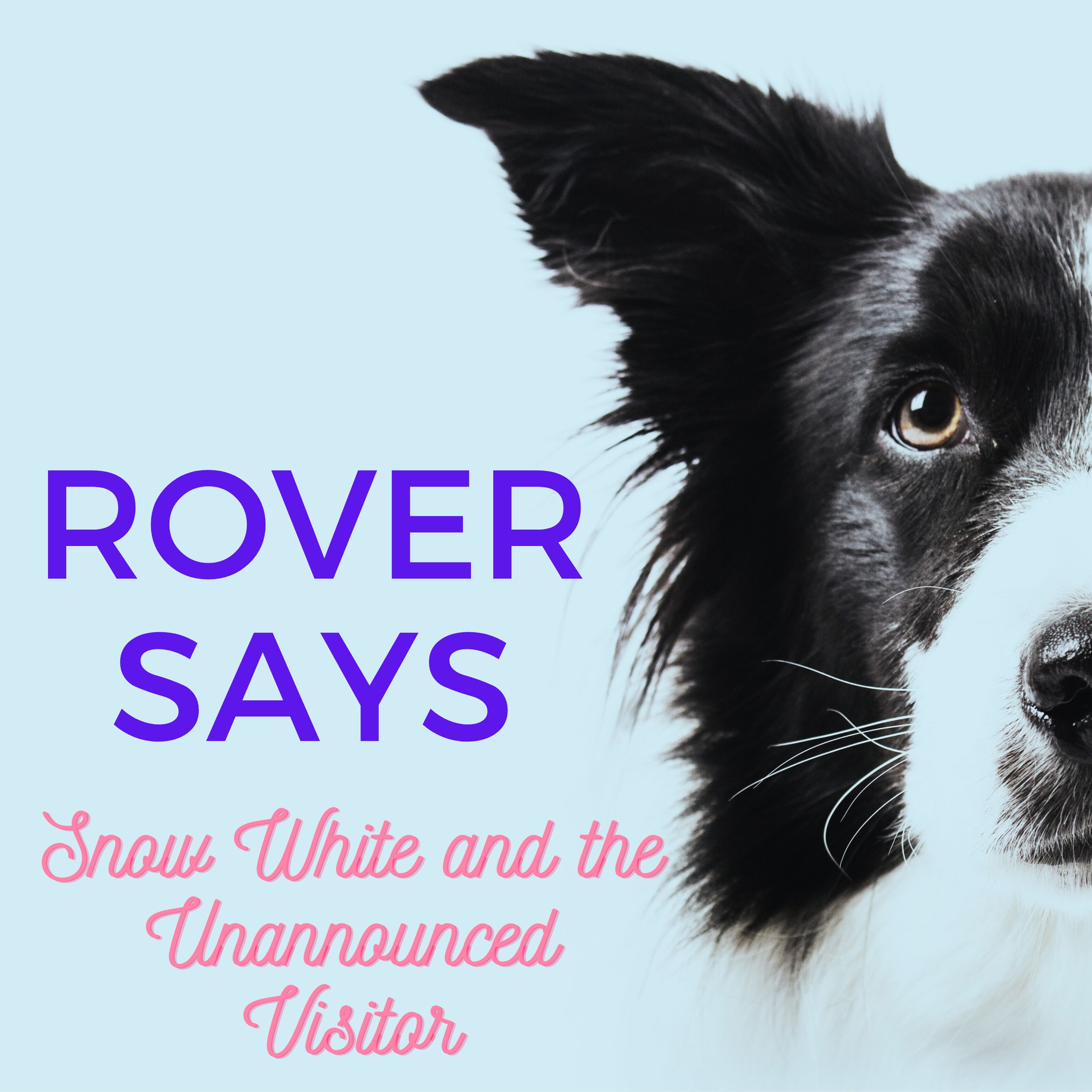 Rover Says