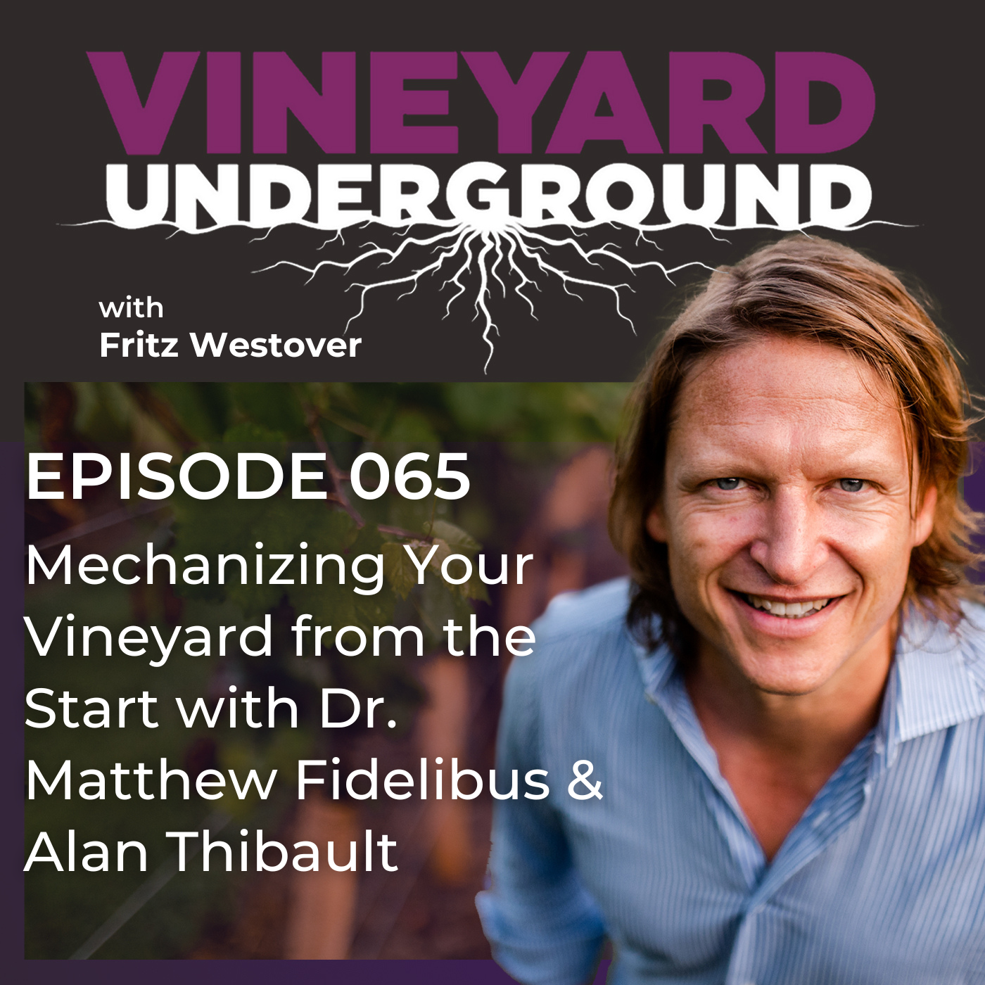 Vineyard Underground