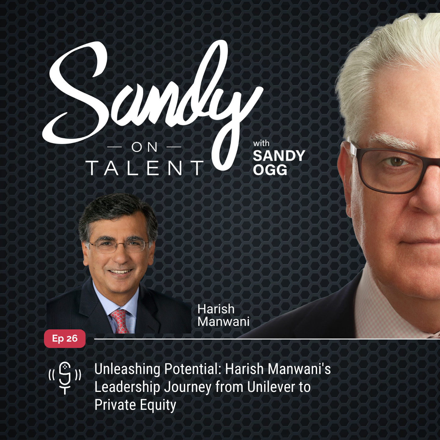 Sandy on Talent - Insights and Strategies for Leadership Excellence and Talent Optimization