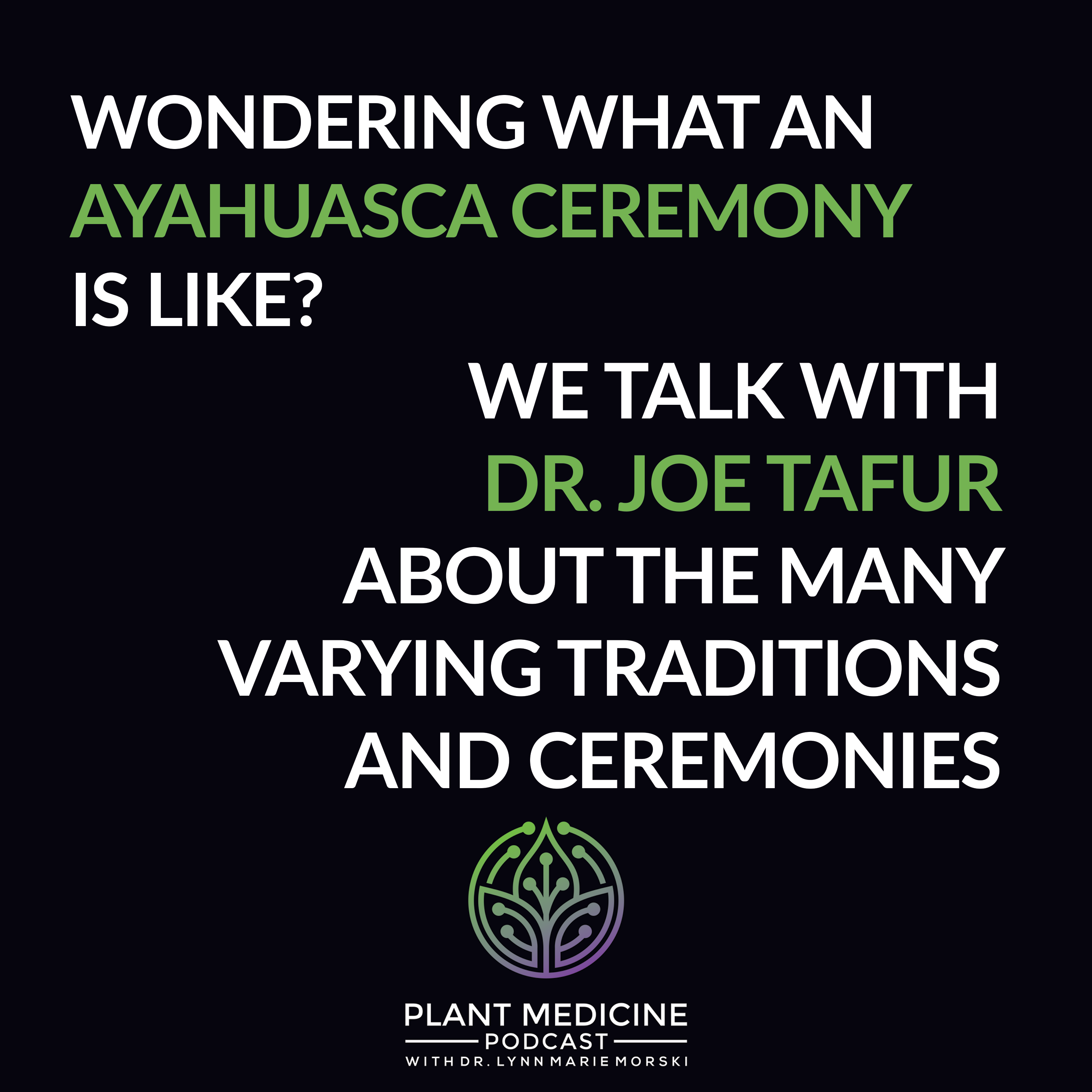 Psychedelic Medicine Podcast with Dr. Lynn Marie Morski