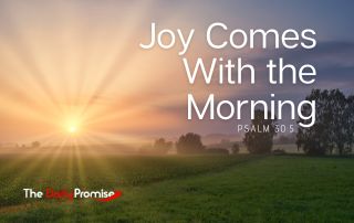 The Daily Promise