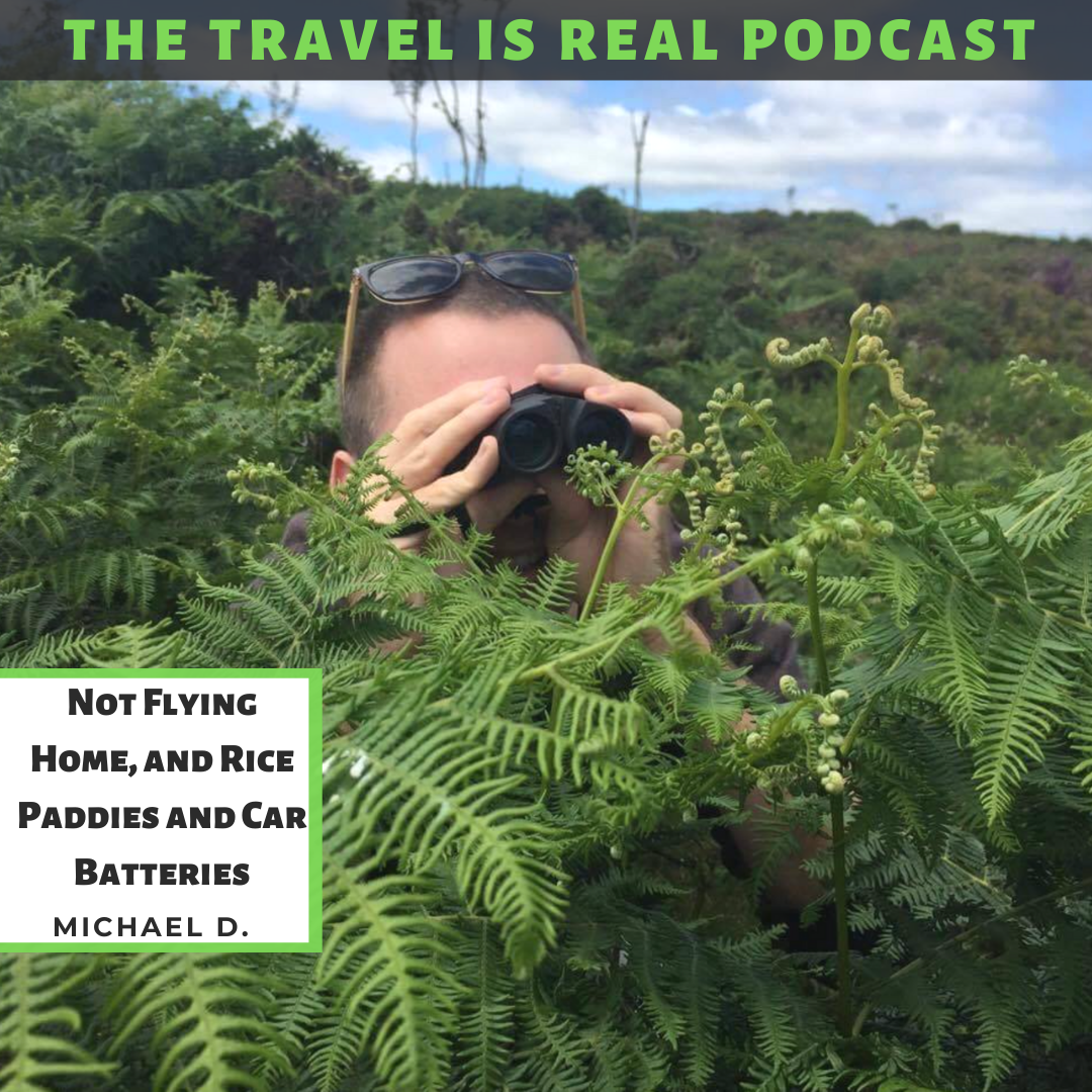 The Travel Is Real