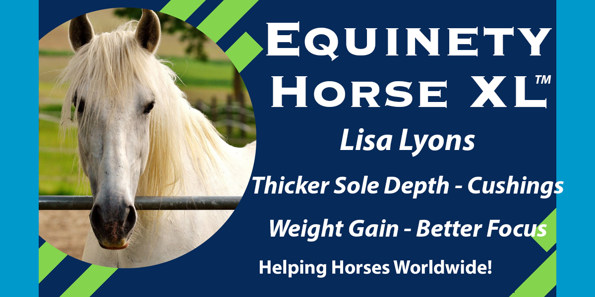 Team Equinety Podcast