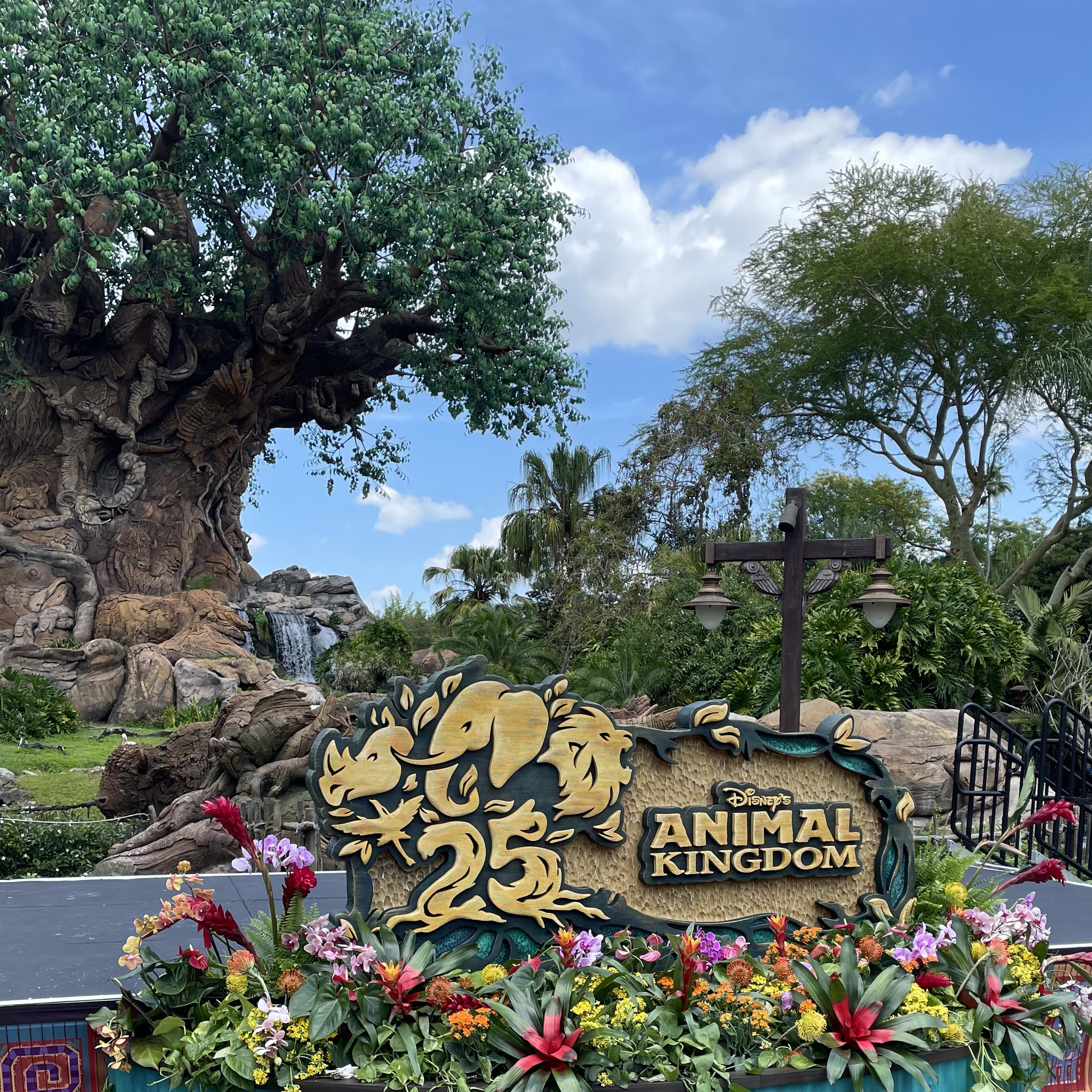 Disney's Animal Kingdom 25th Anniversary Walkabout