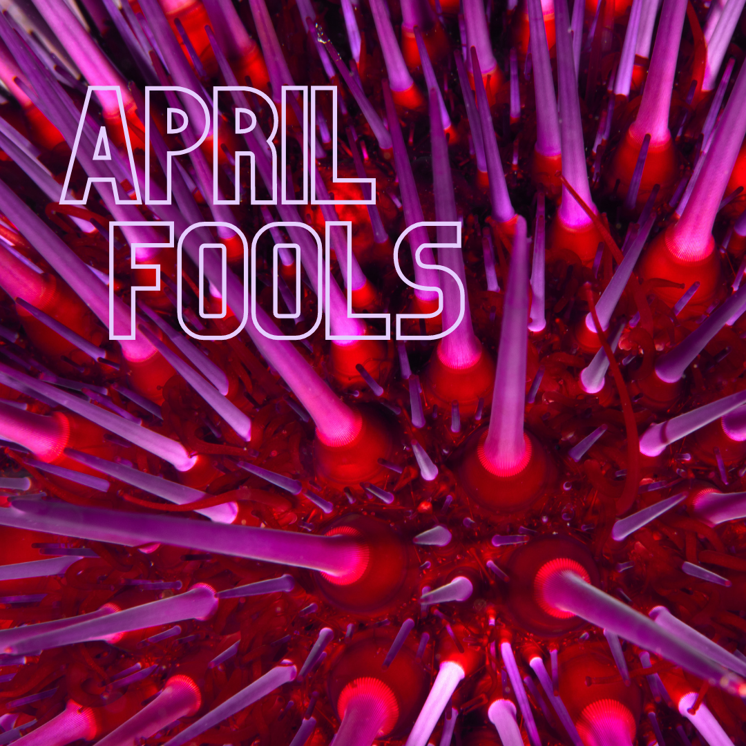 April Fools