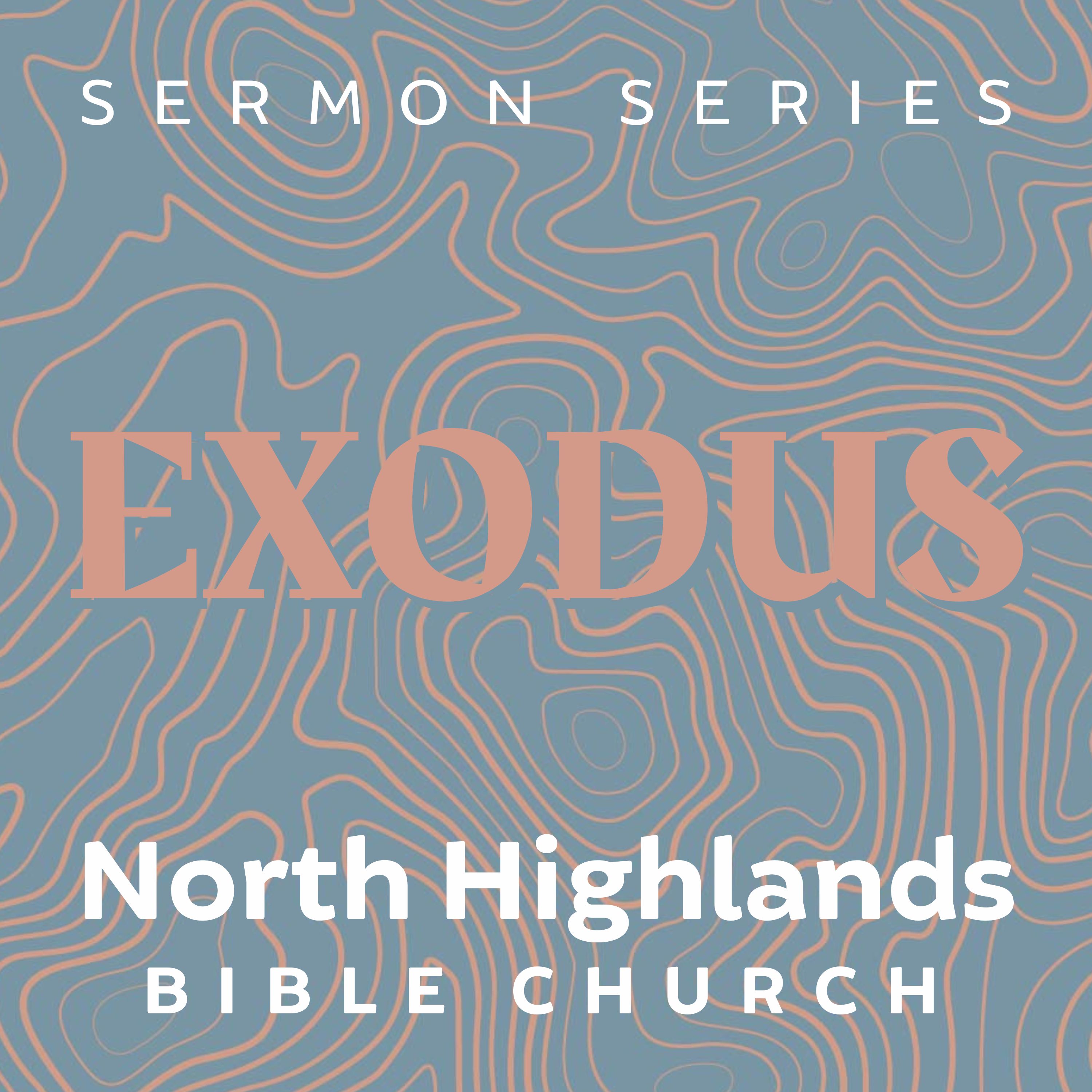 EXODUS: The Red Sea