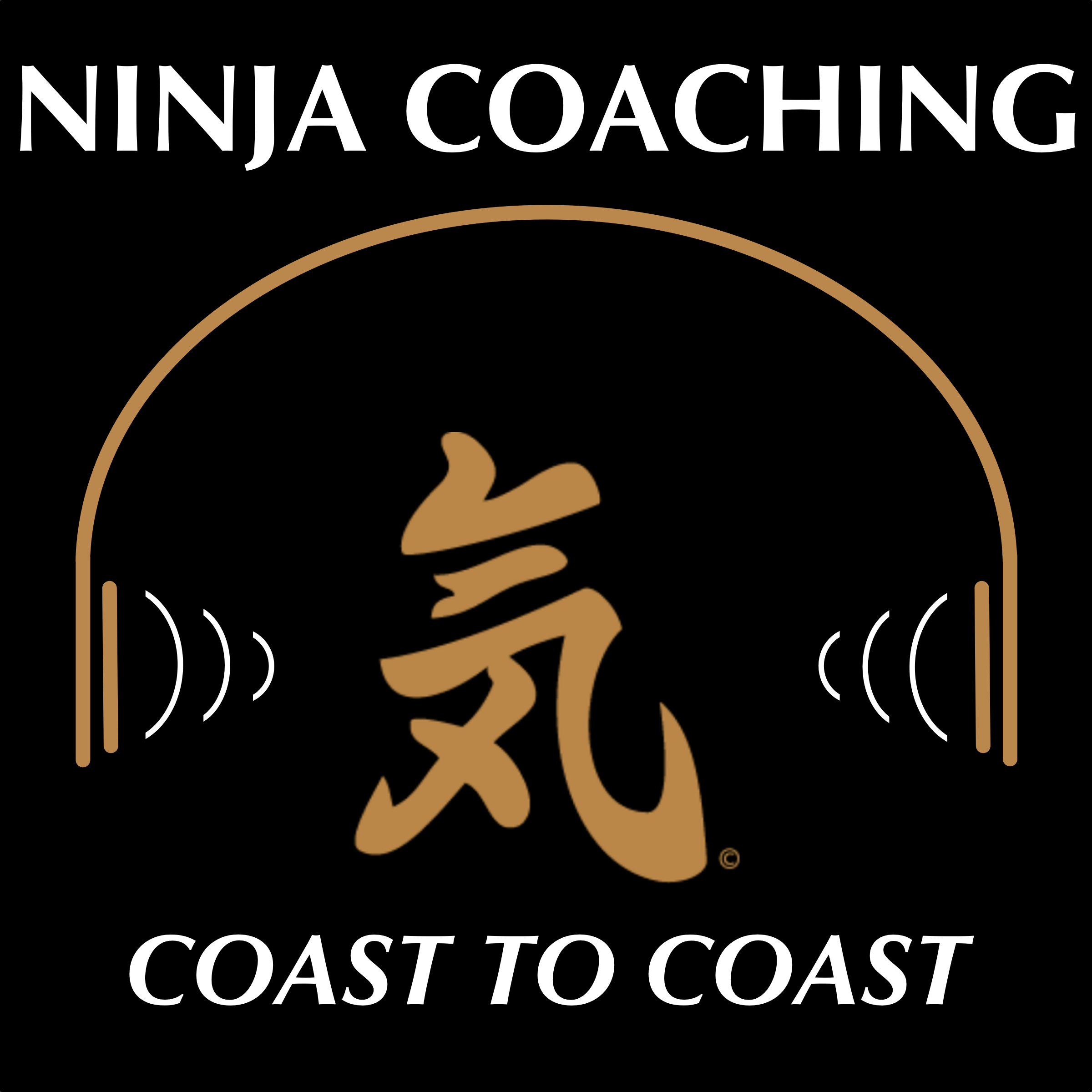 The Ninja Selling Podcast