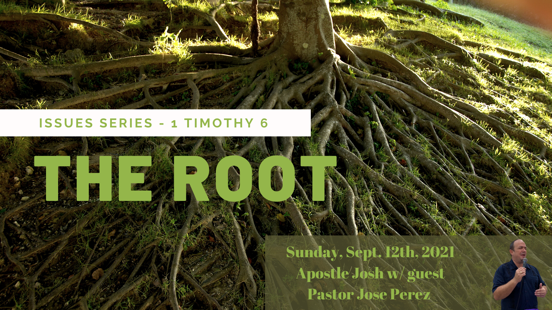 The Root 1 Timothy 6 (Issue Series)