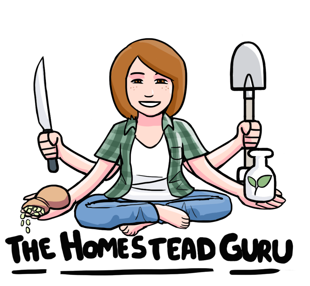 Homesteads and Homeschools