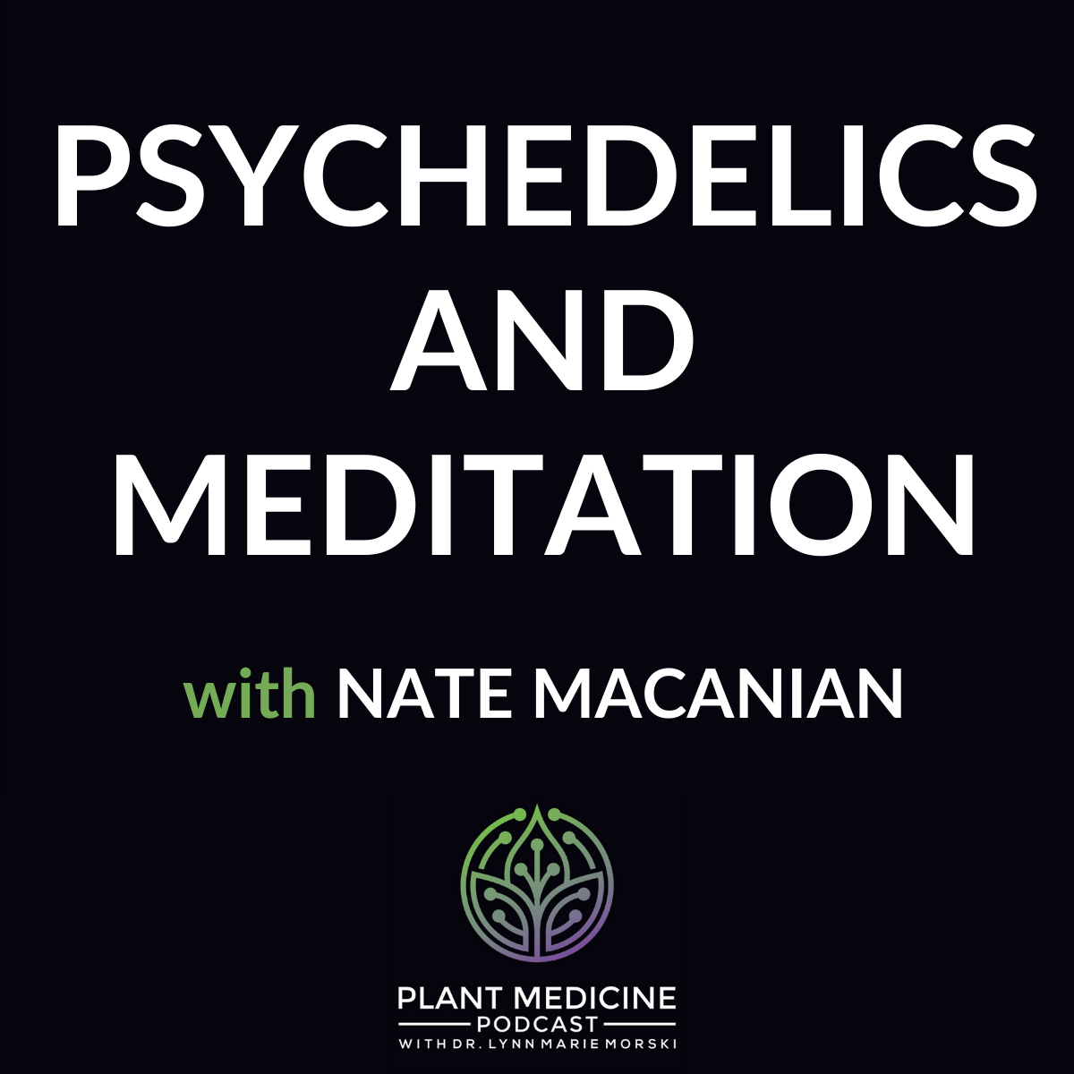 Psychedelics and Meditation with Nate Macanian