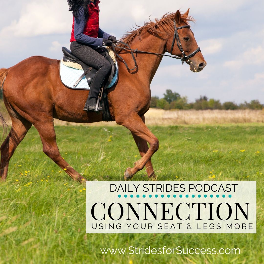 Connection in Your Riding; Seat and Leg Aids