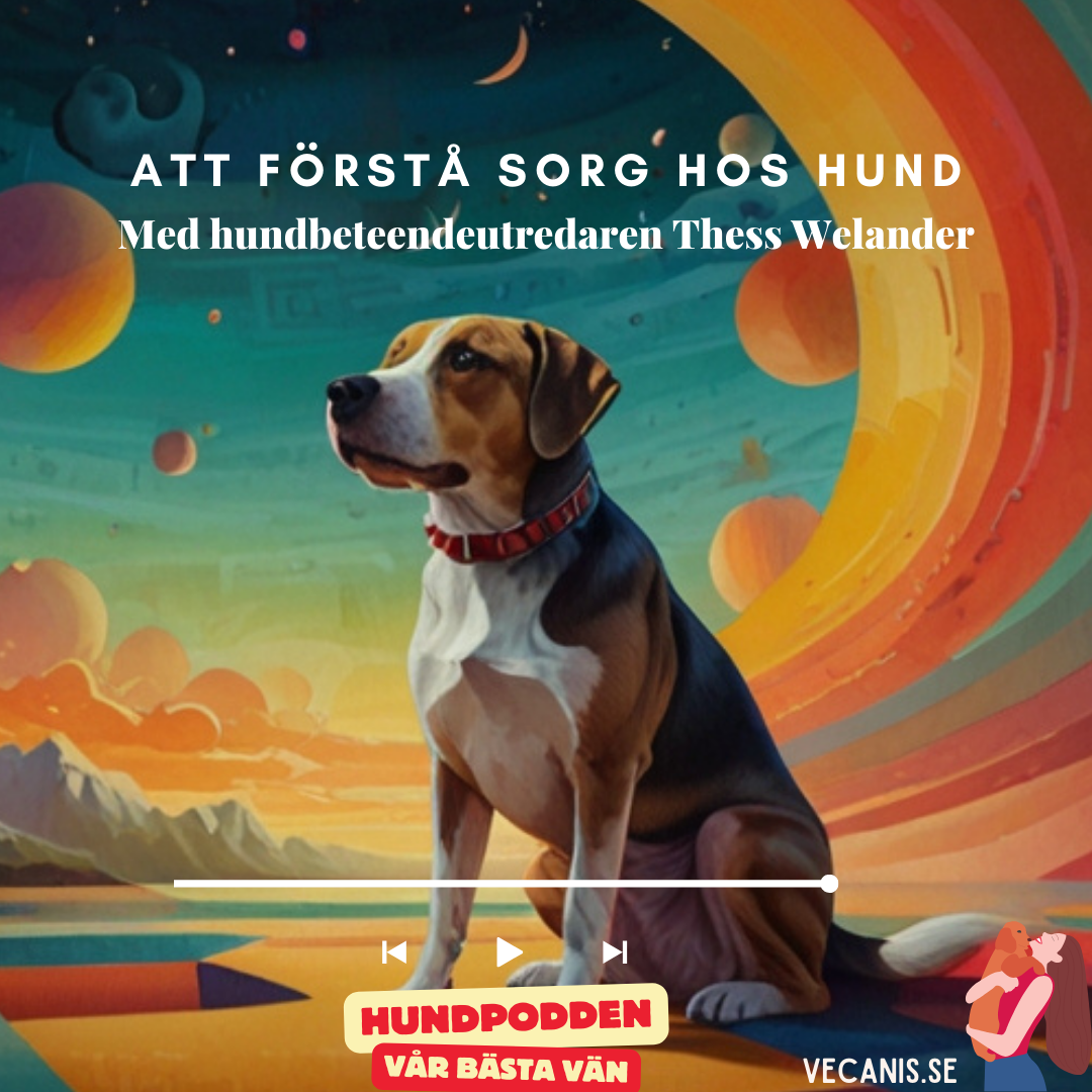 Hundpodden Vår Bästa Vän