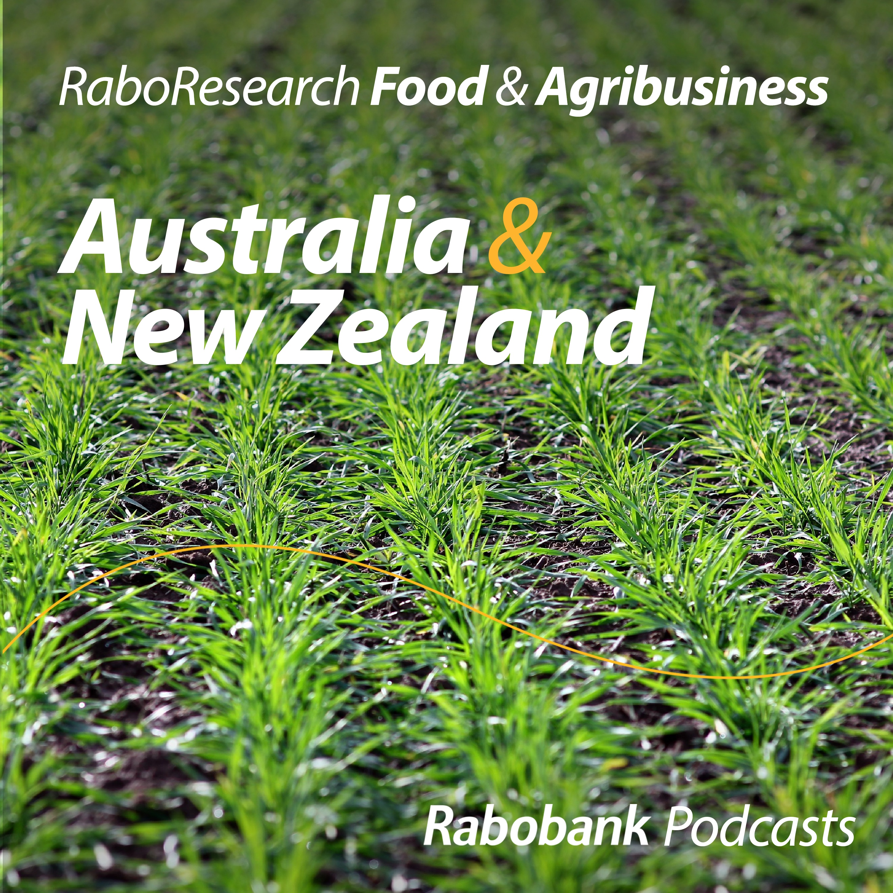 Turning clouds: Rainfall boosts confidence, with an above-average Australian crop likely for 2025/26