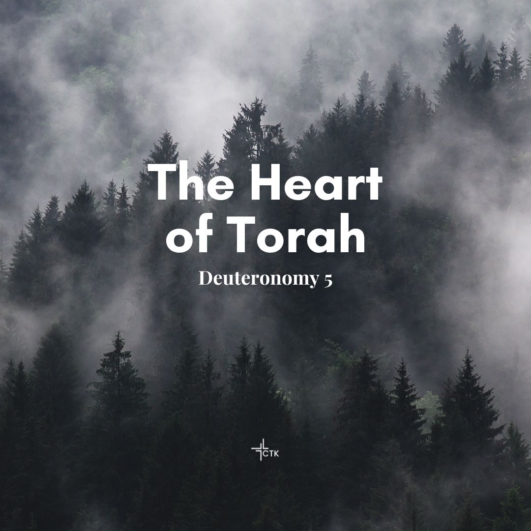The Heart of Torah