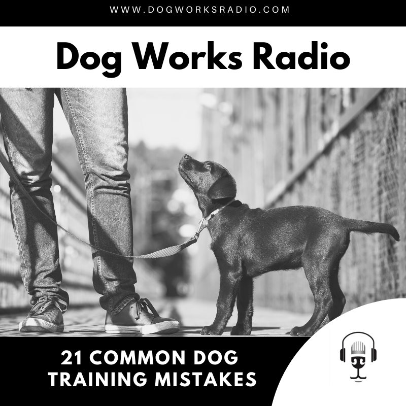 21 Common Dog Training Mistakes