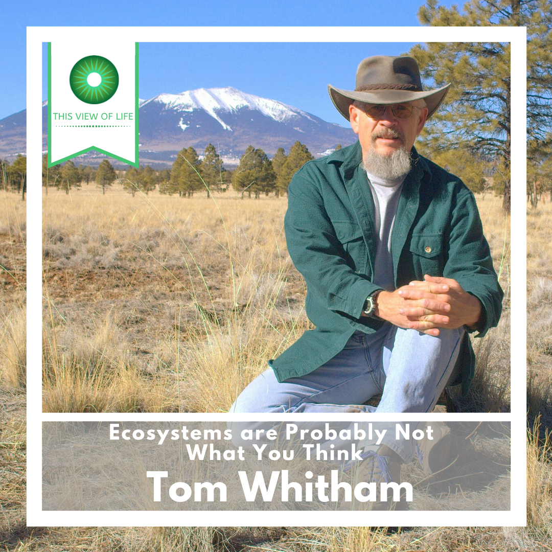 Ecosystems are Probably Not What You Think: A Conversation with Tom Whitham