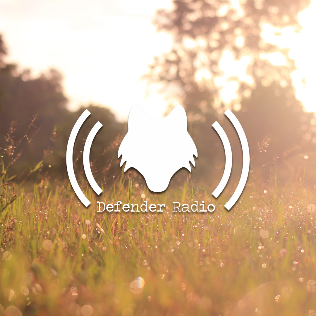 Defender Radio and The Switch