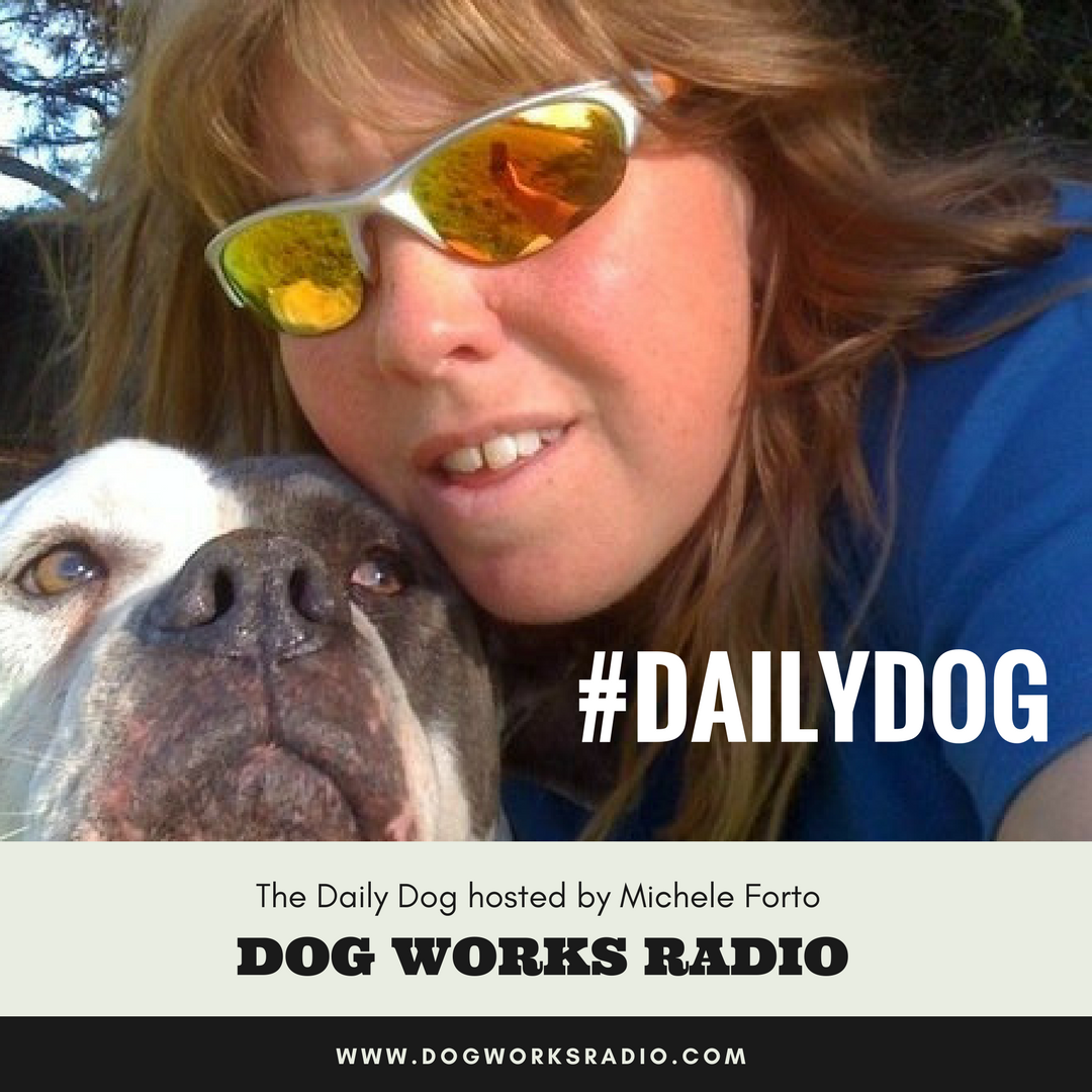 Dog Works Radio