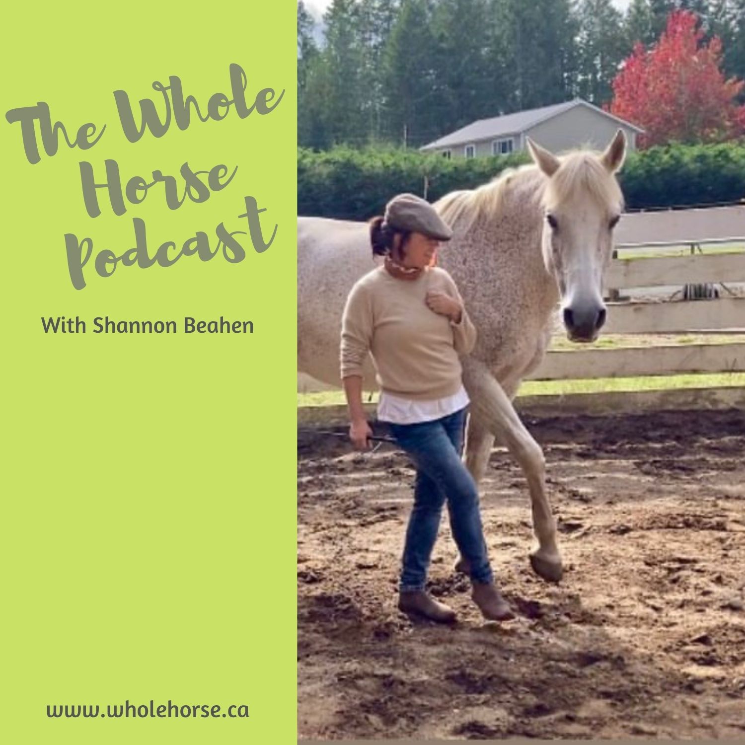 The Whole Horse Podcast with Alexa Linton