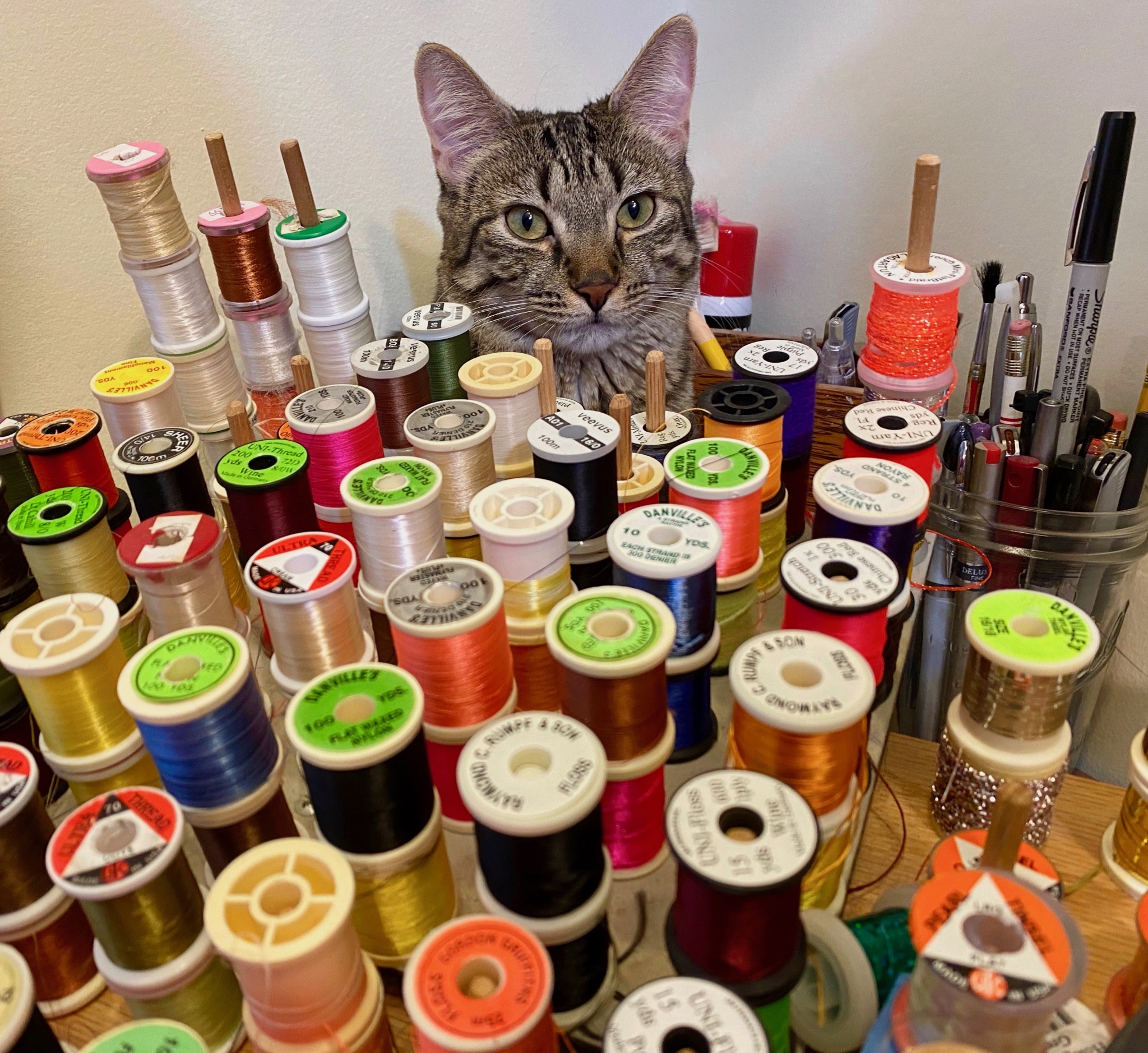 The Choice is Always Yours