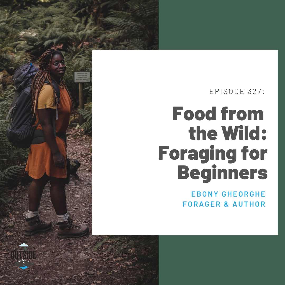 327 Food from the Wild: Foraging for Beginners (Ebony Gheorghe, forager and author)