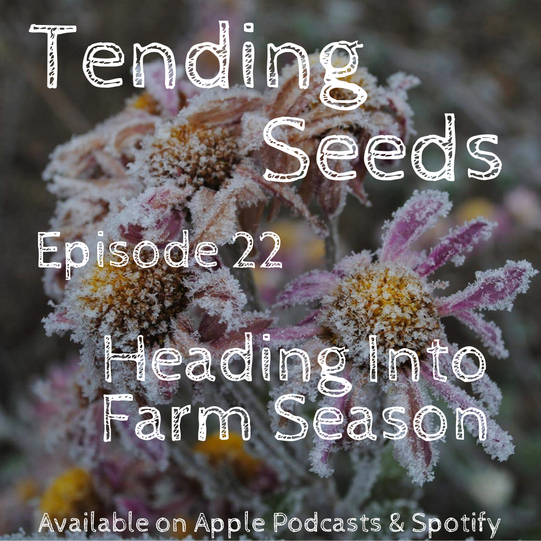 Tending Seeds: Adventures in Gardening, Homesteading, and Herbalism