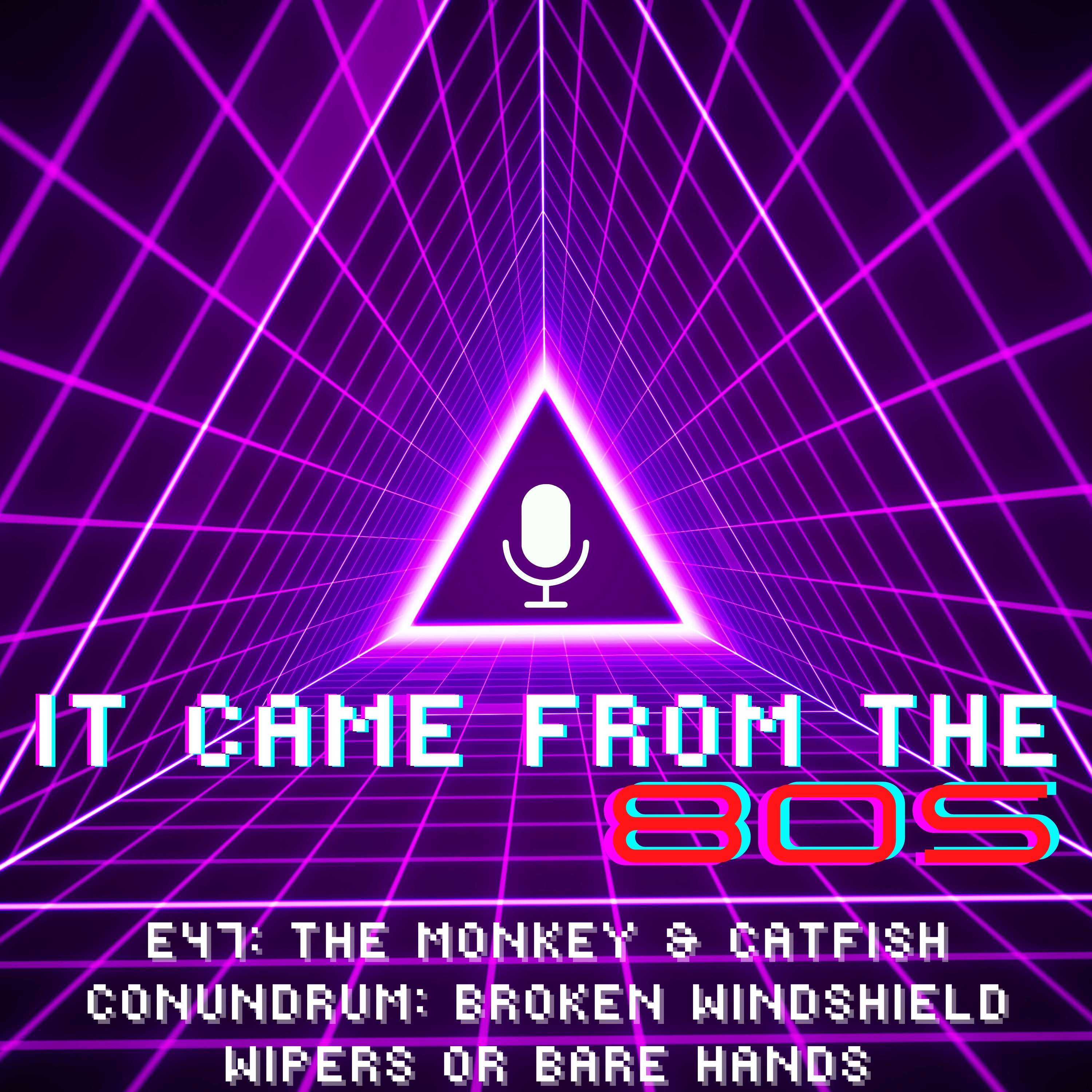 E47: The Monkey & Catfish Conundrum: Broken Windshield Wipers or Bare Hands