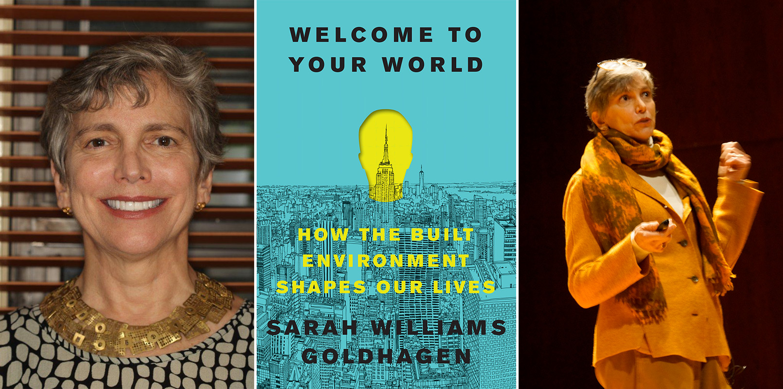 Episode 213 - Sarah Williams Goldhagen