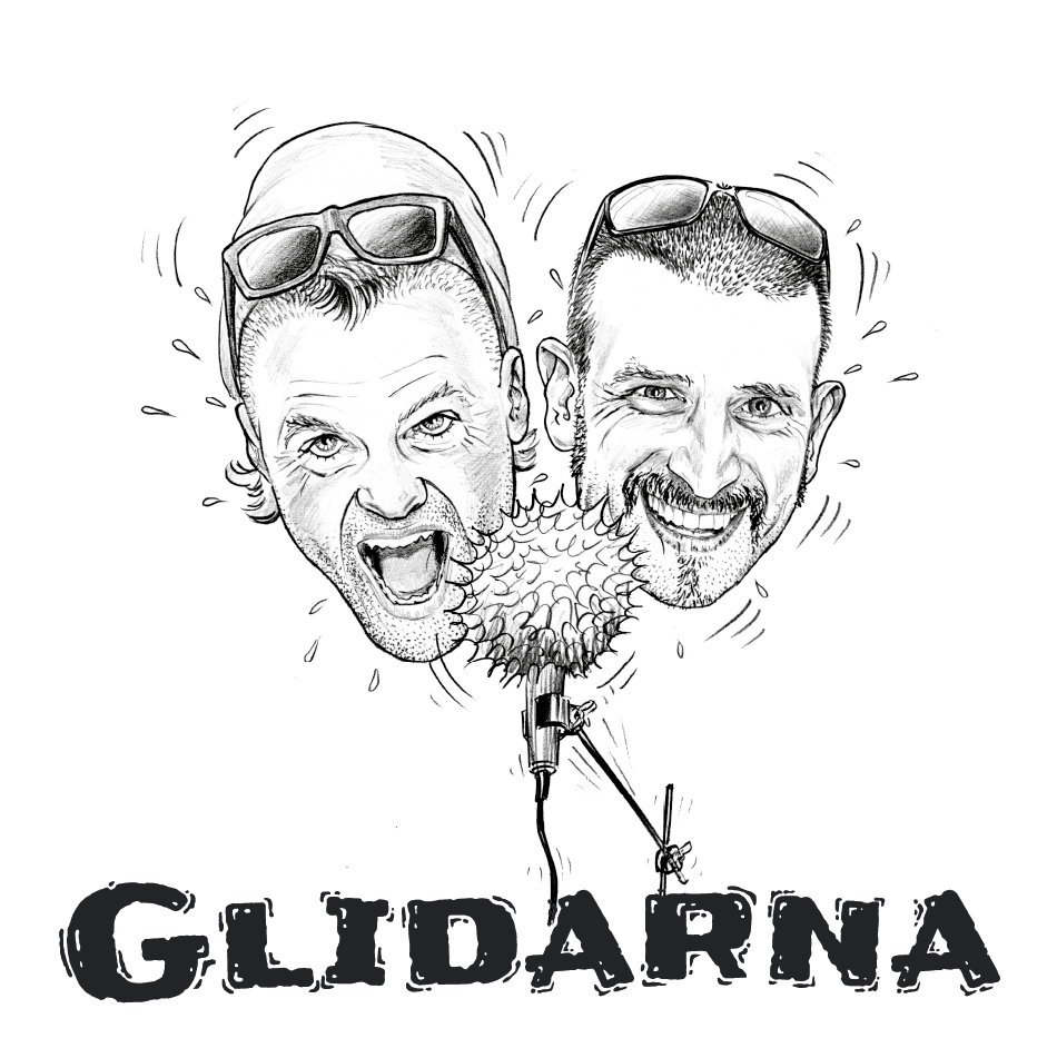 Glidarna