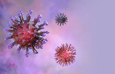 Epidemics and Evolution