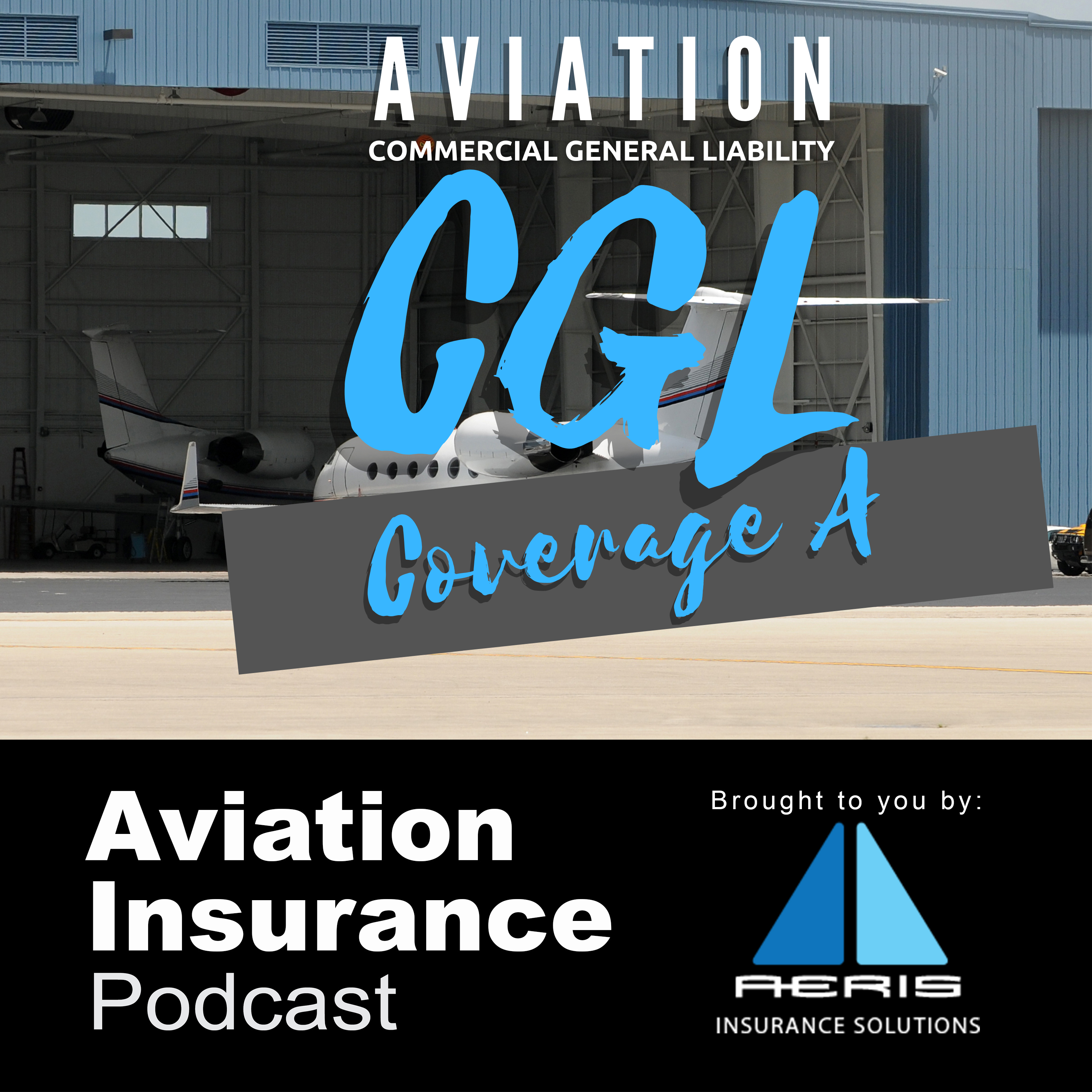 Episode 22: Aviation Commercial General Liability - Coverage A